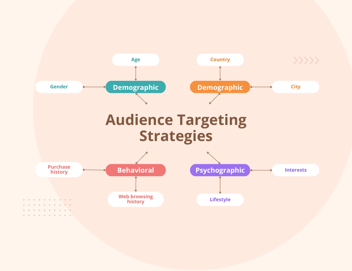 Audience Targeting Strategies