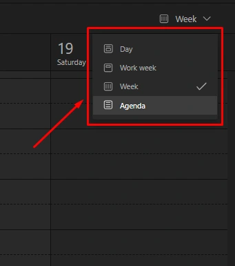 MS Calendar View Options