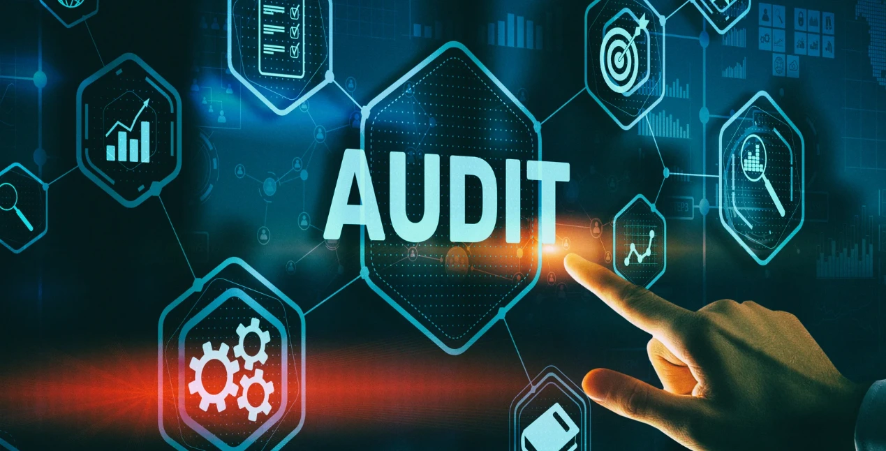 Data Entry Audits