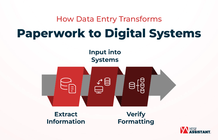 How Data Entry Transforms Paperwork to Digital Systems