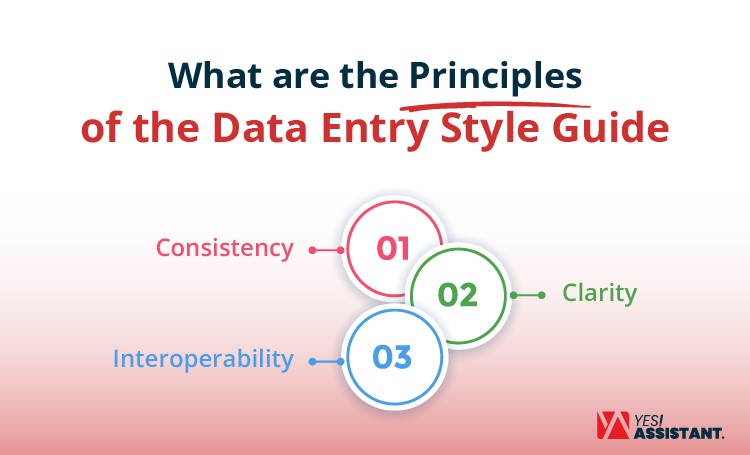 What are the Principles of the Data Entry Style Guide