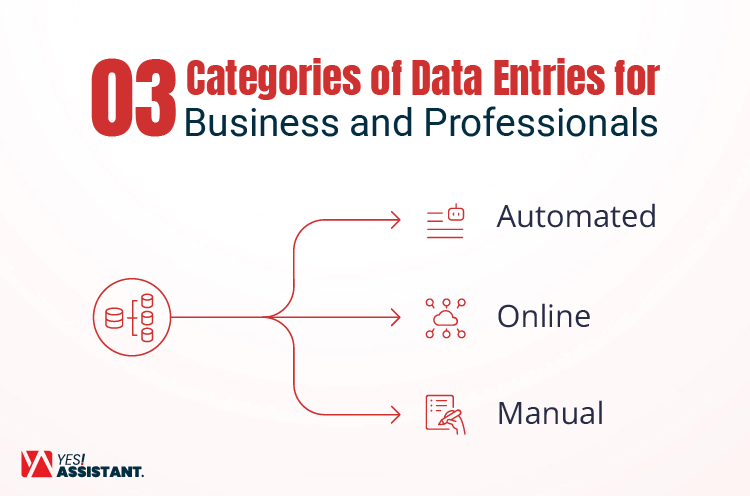 Three Categories of Data Entries for Business and Professionals