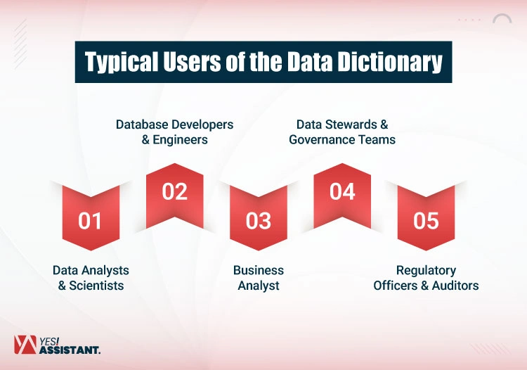 Typical Users of the Data Dictionary