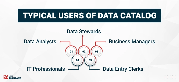 Typical Users of Data Catalog