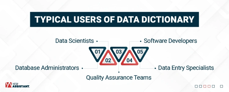Typical Users of Data Dictionary