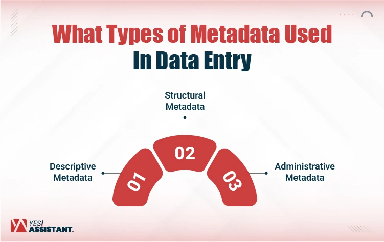What Types of Metadata Used in Data Entry-01
